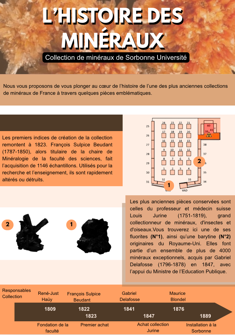  Viste numérique